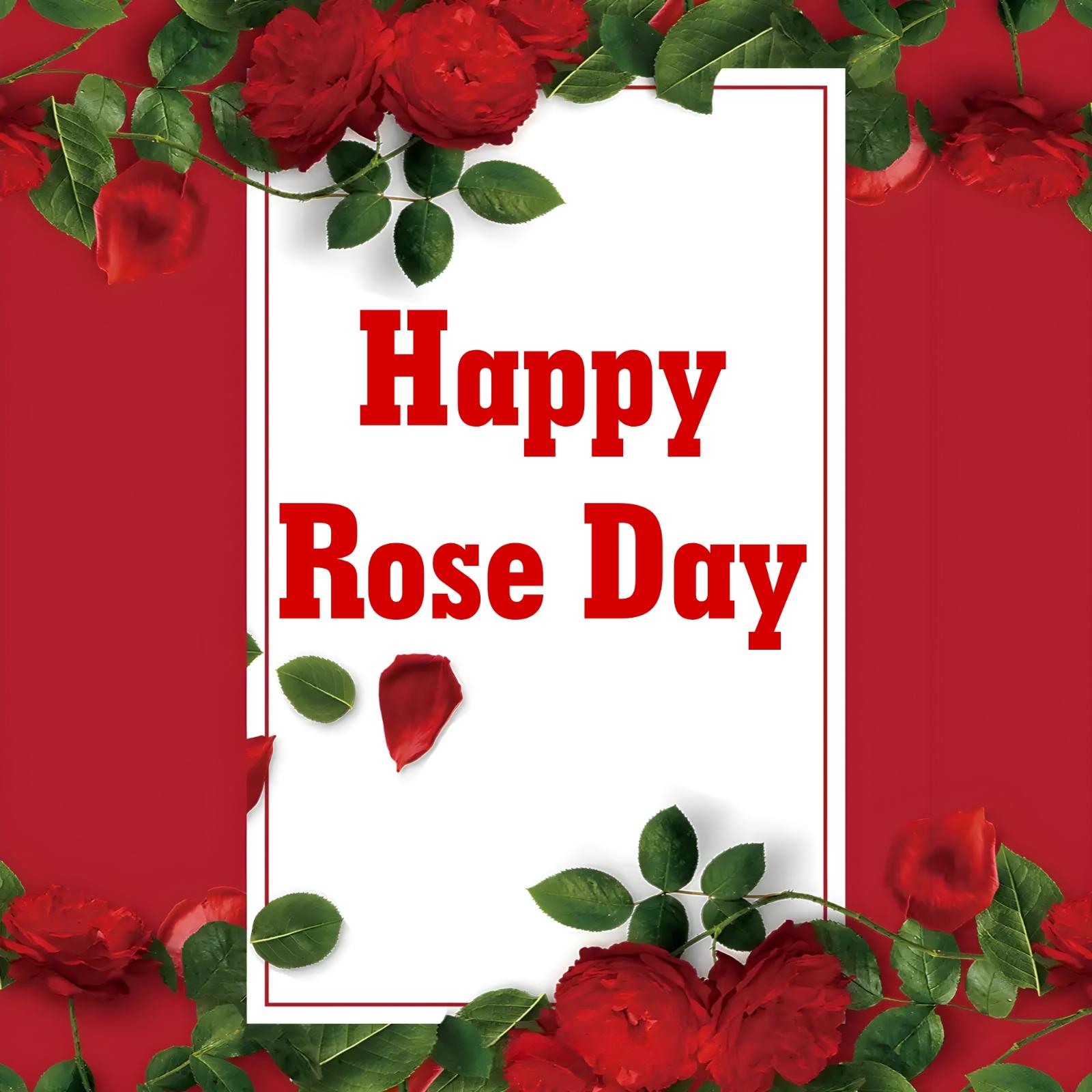 New Happy Rose Day Images 2023 HD Download - ShayariMaza