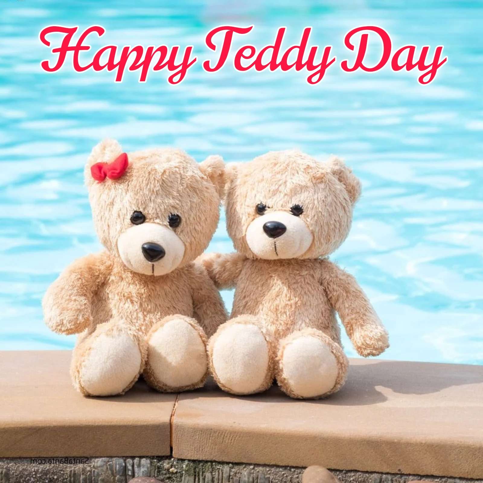 Happy Teddy Day Images Hd Download - ShayariMaza
