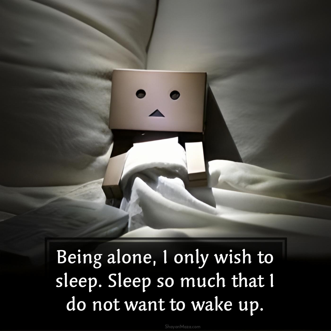 Being alone I only wish to sleep Sleep so much