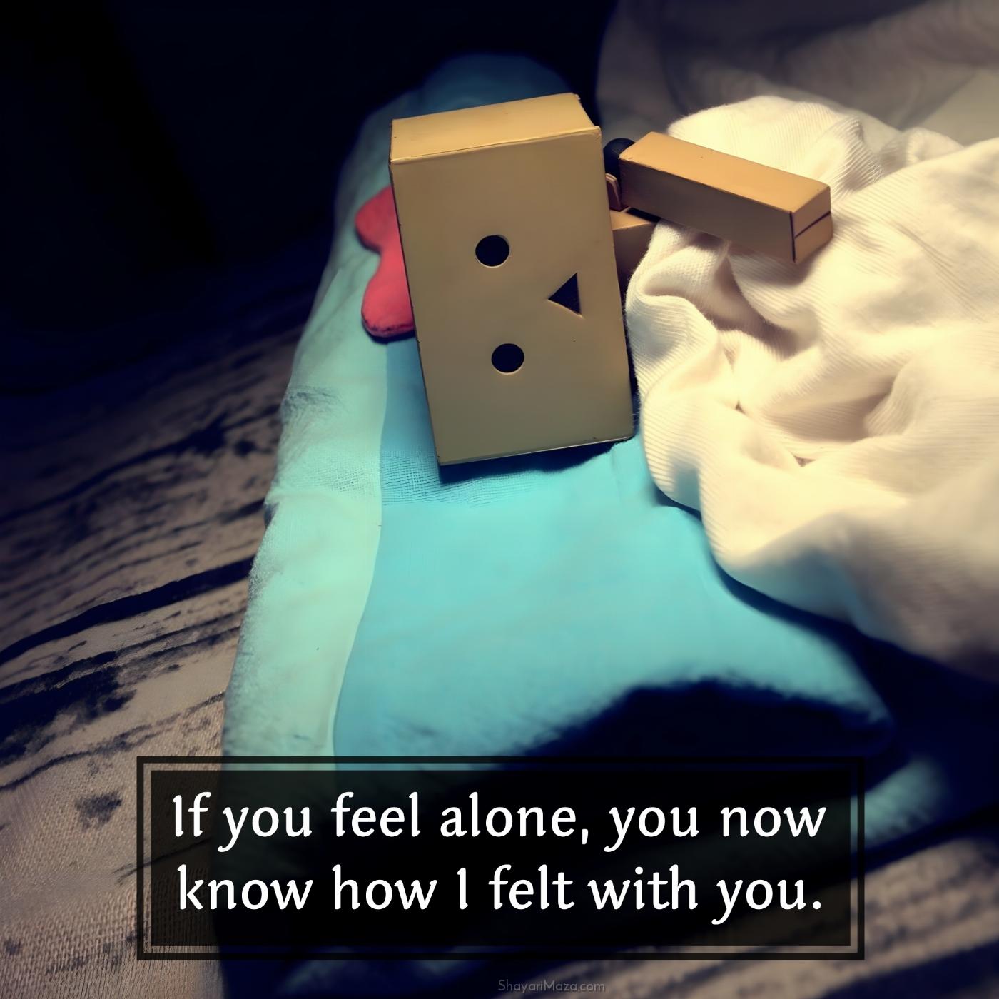 If you feel alone you now know how I felt with you