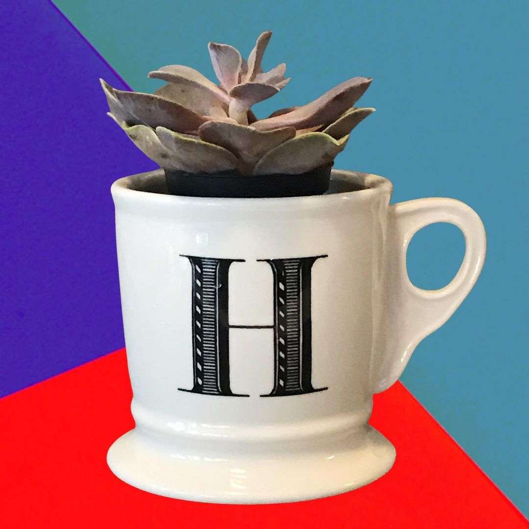 H Letter Cup DP