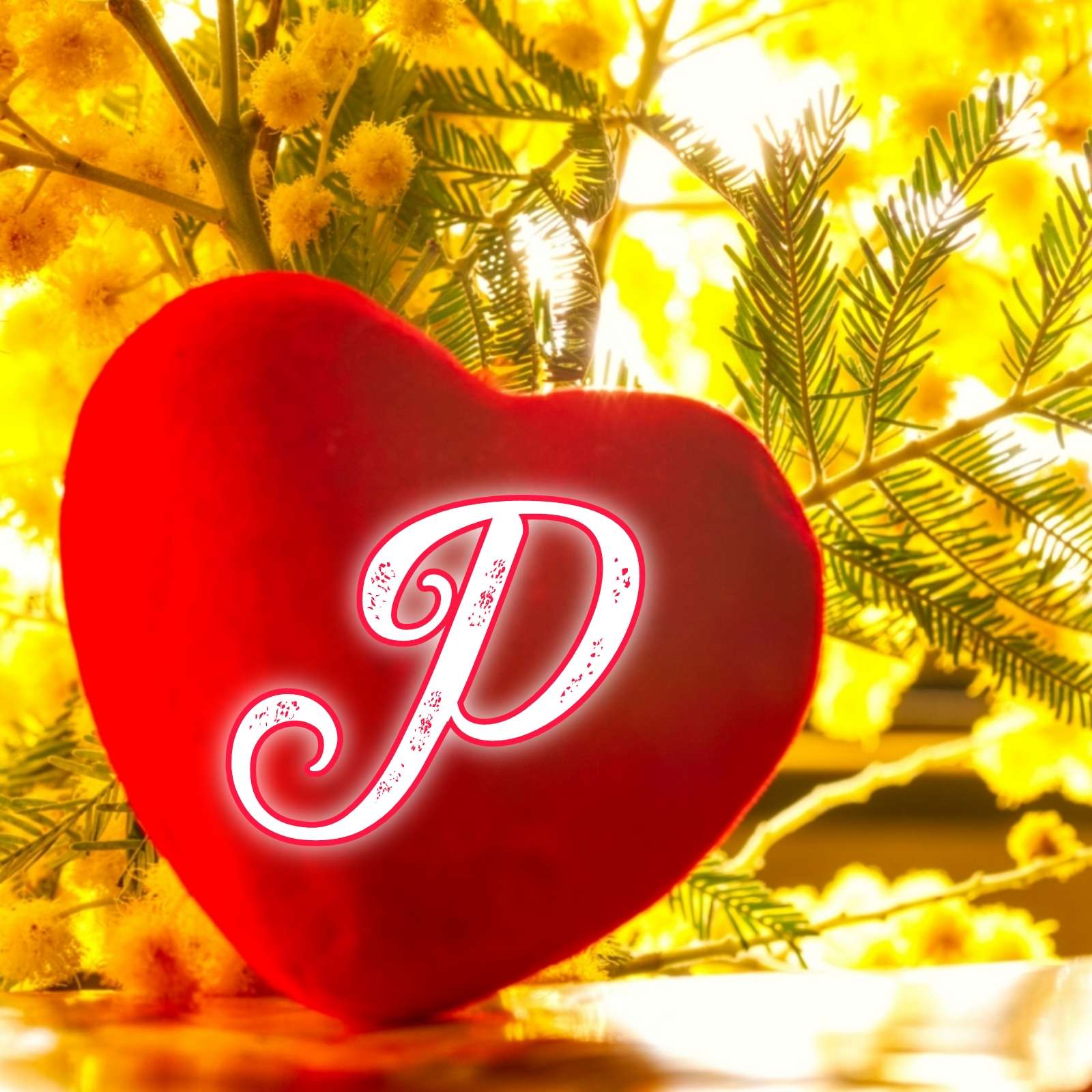 Heart P Name DP Image Download