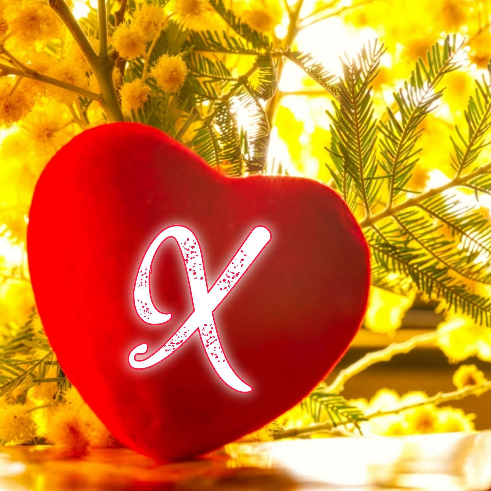 Heart X Name Love DP Image Download