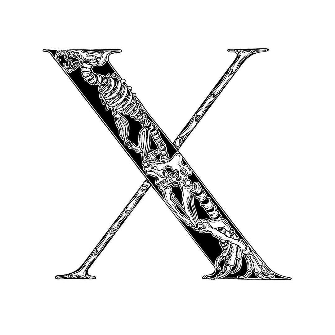 X Alphabet Design DP Download