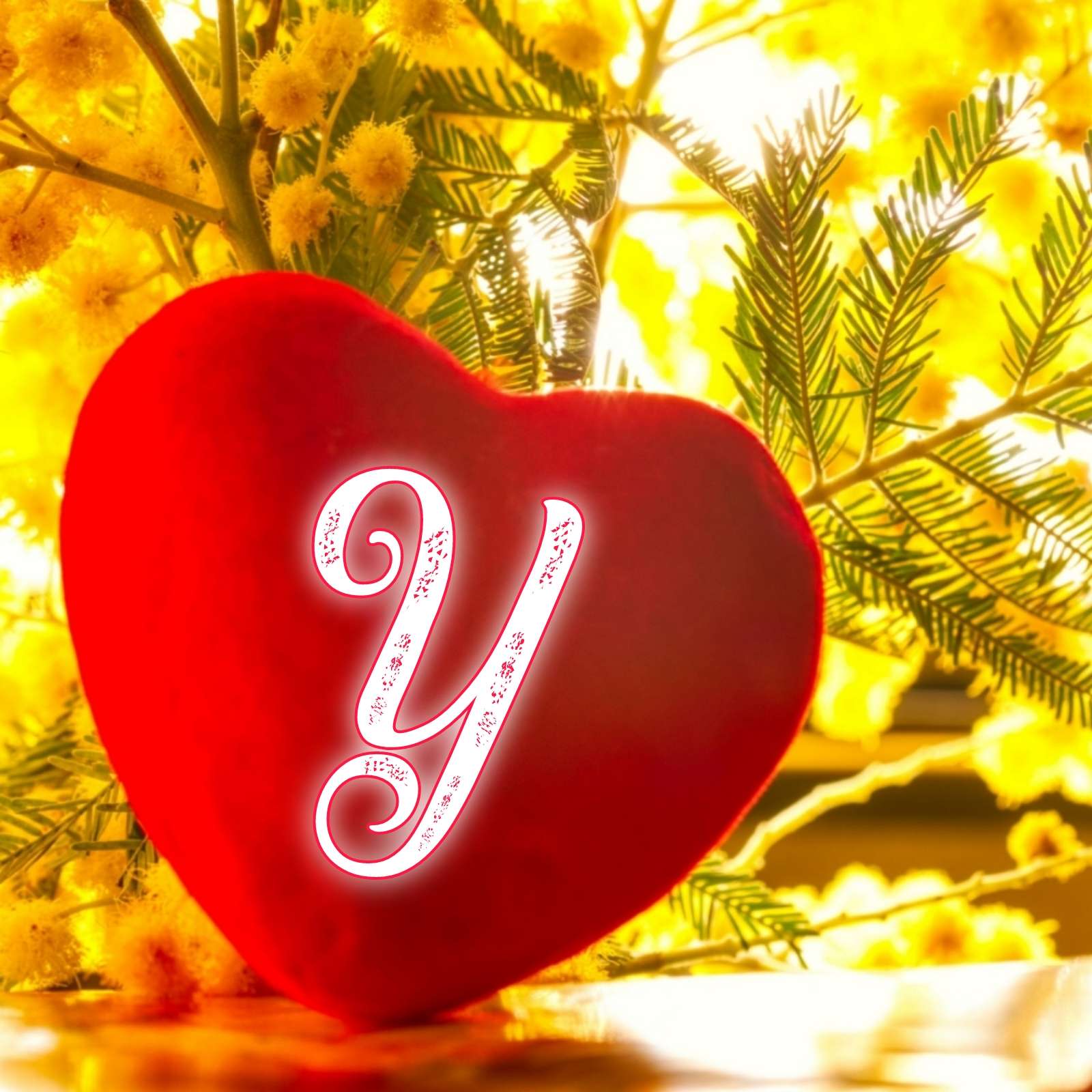 Heart Y Name Love DP Image Download - ShayariMaza