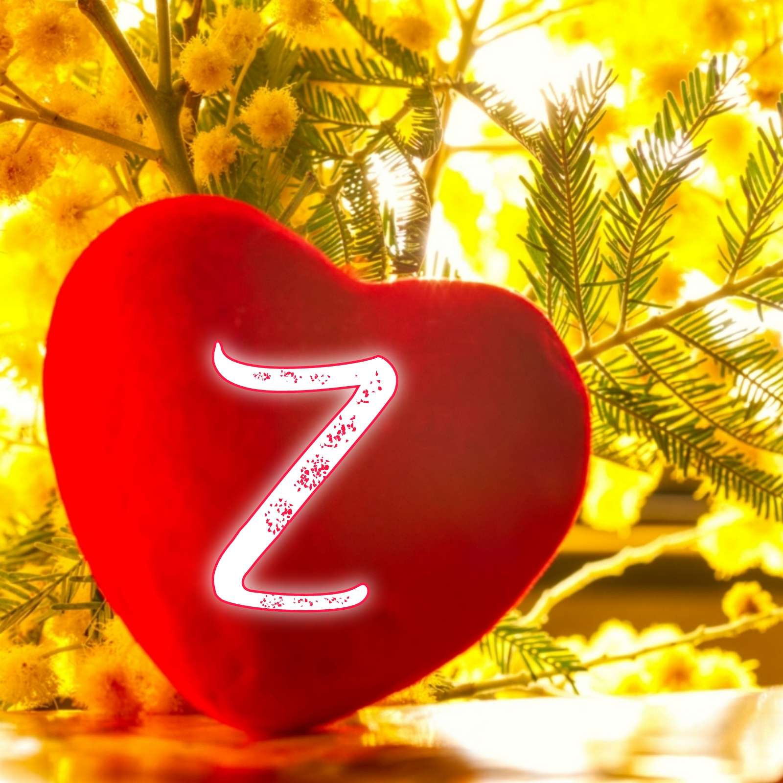 Heart Z Name Love DP Image Download