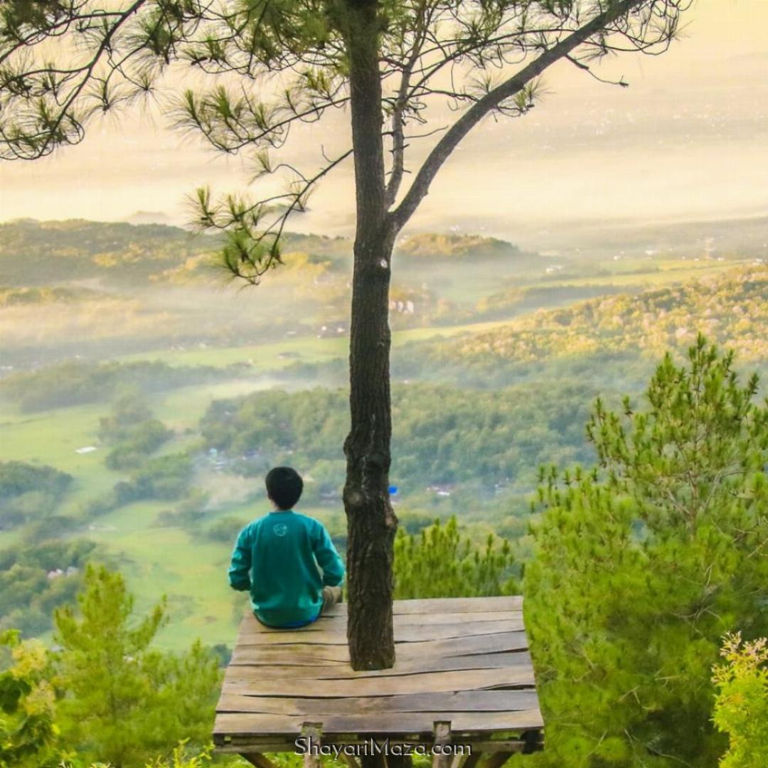 Alone Boy Under Tree DP Image