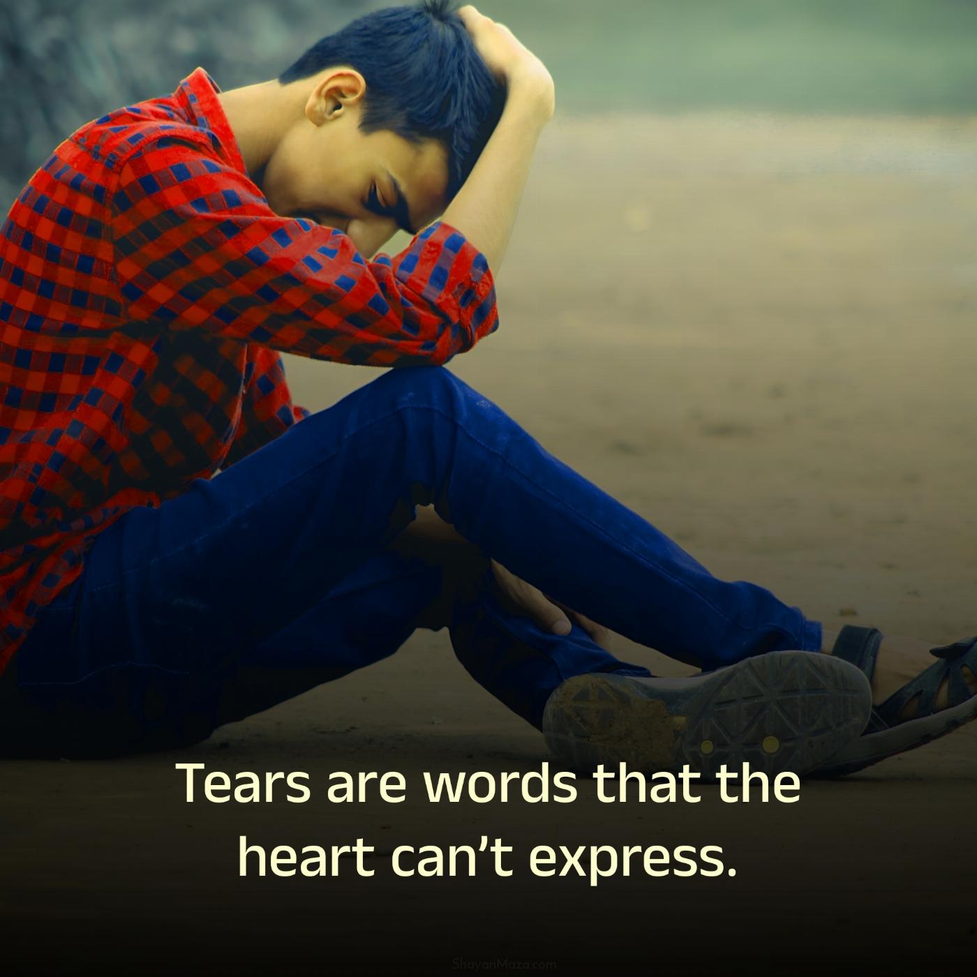 Tears are words that the heart cant express
