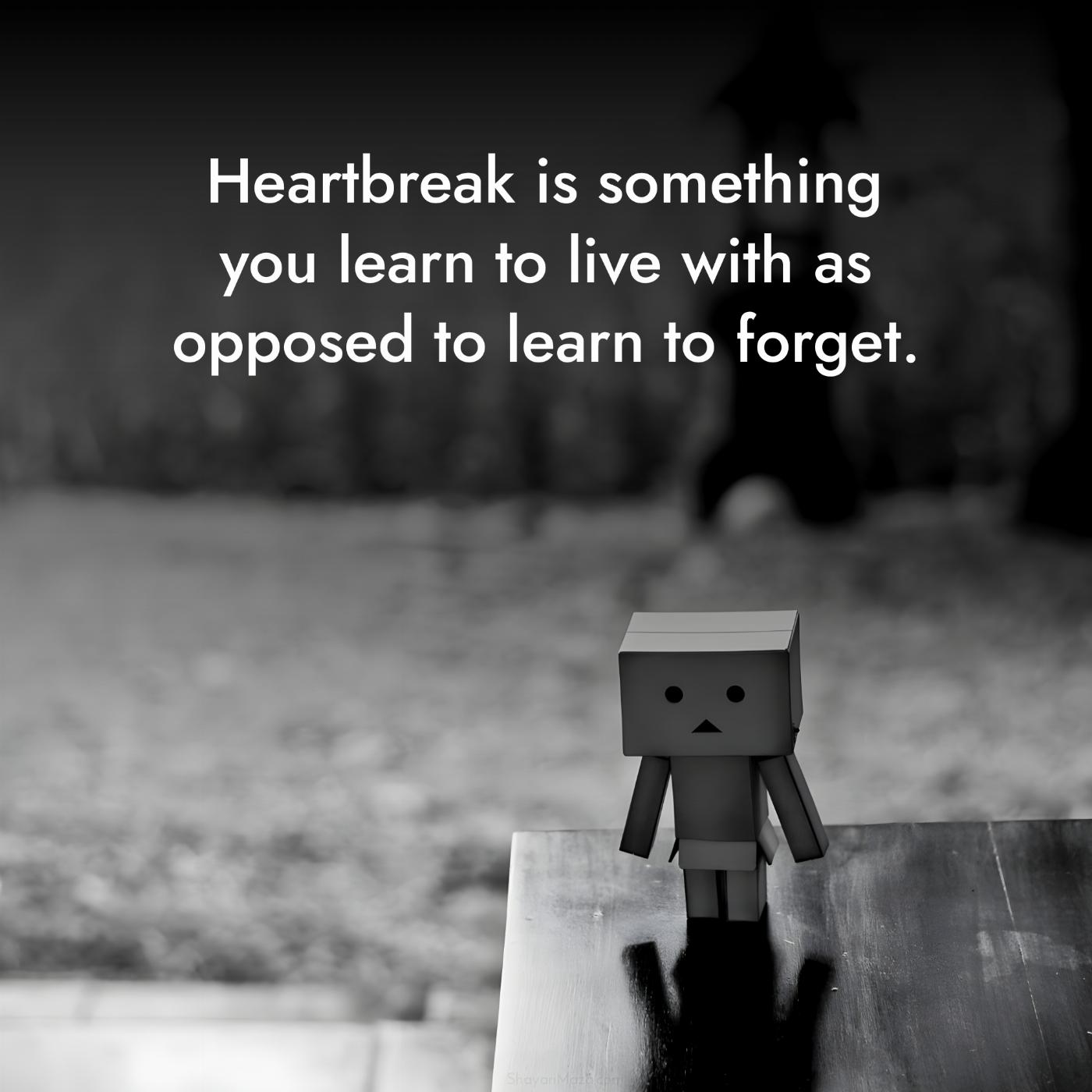 Heartbreak is something you learn to live with as opposed