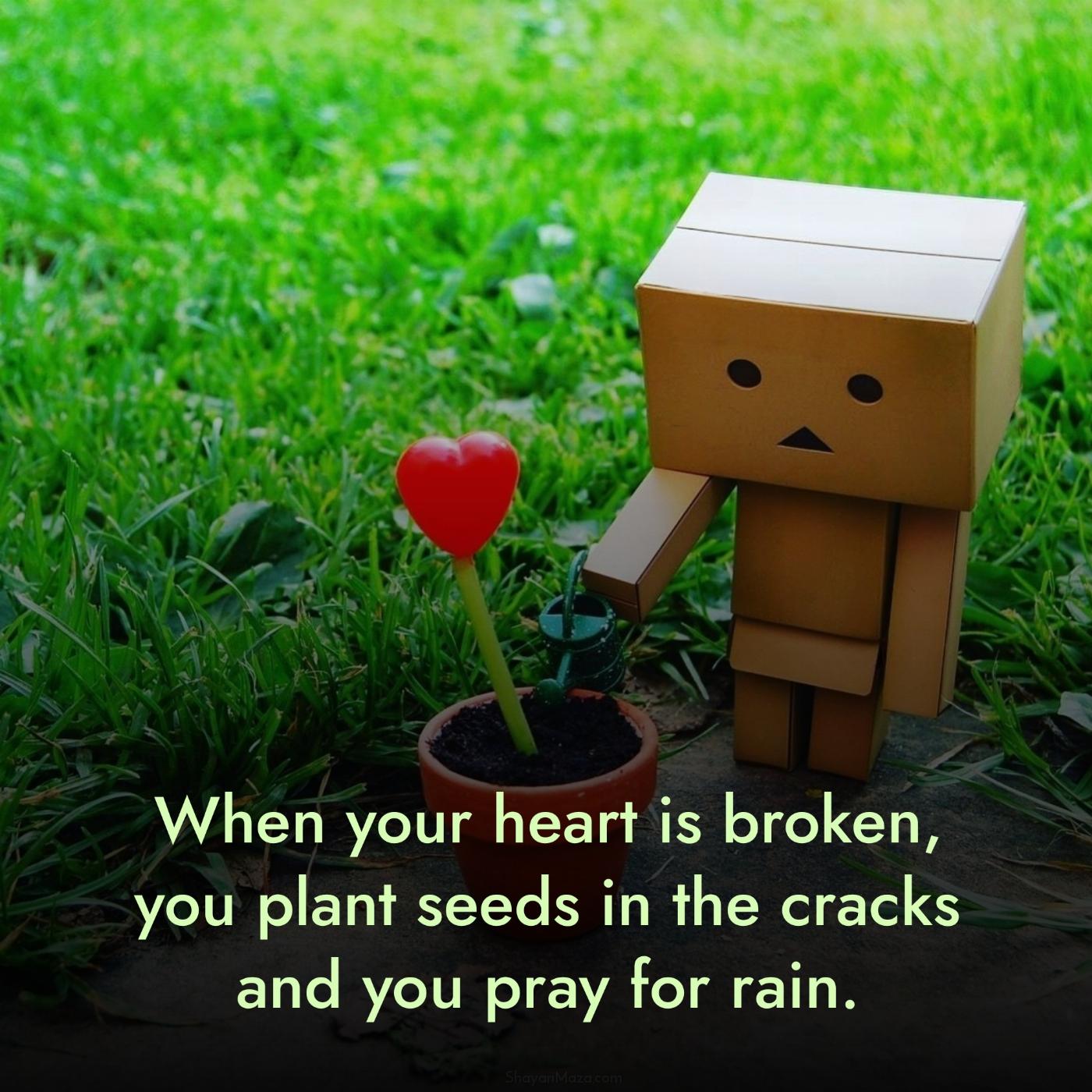 When your heart is broken you plant seeds in the cracks