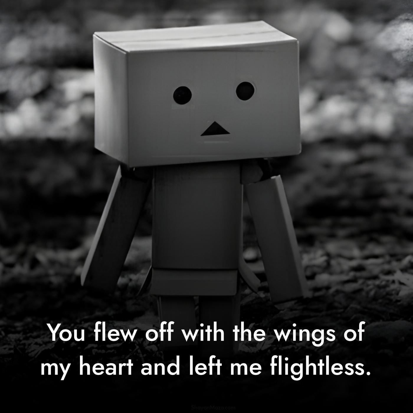 You flew off with the wings of my heart and left me flightless