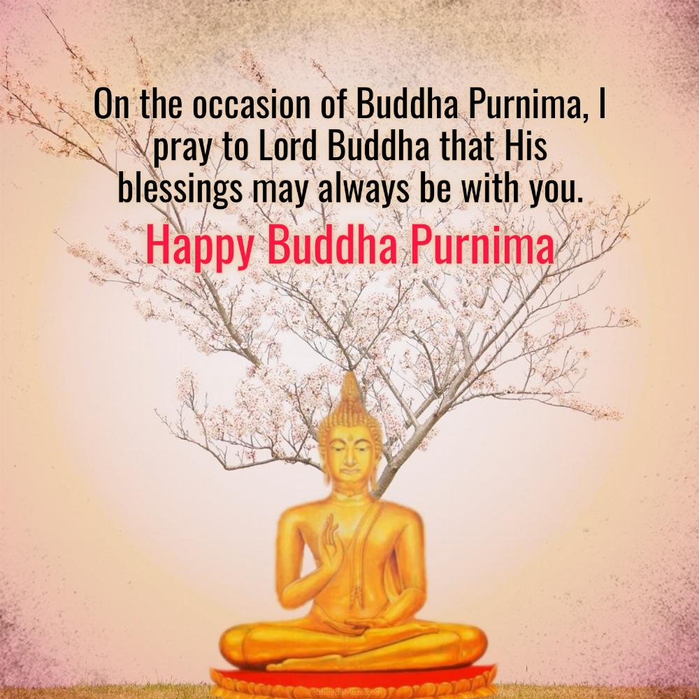 On the occasion of Buddha Purnima I pray to Lord Buddha that His blessings