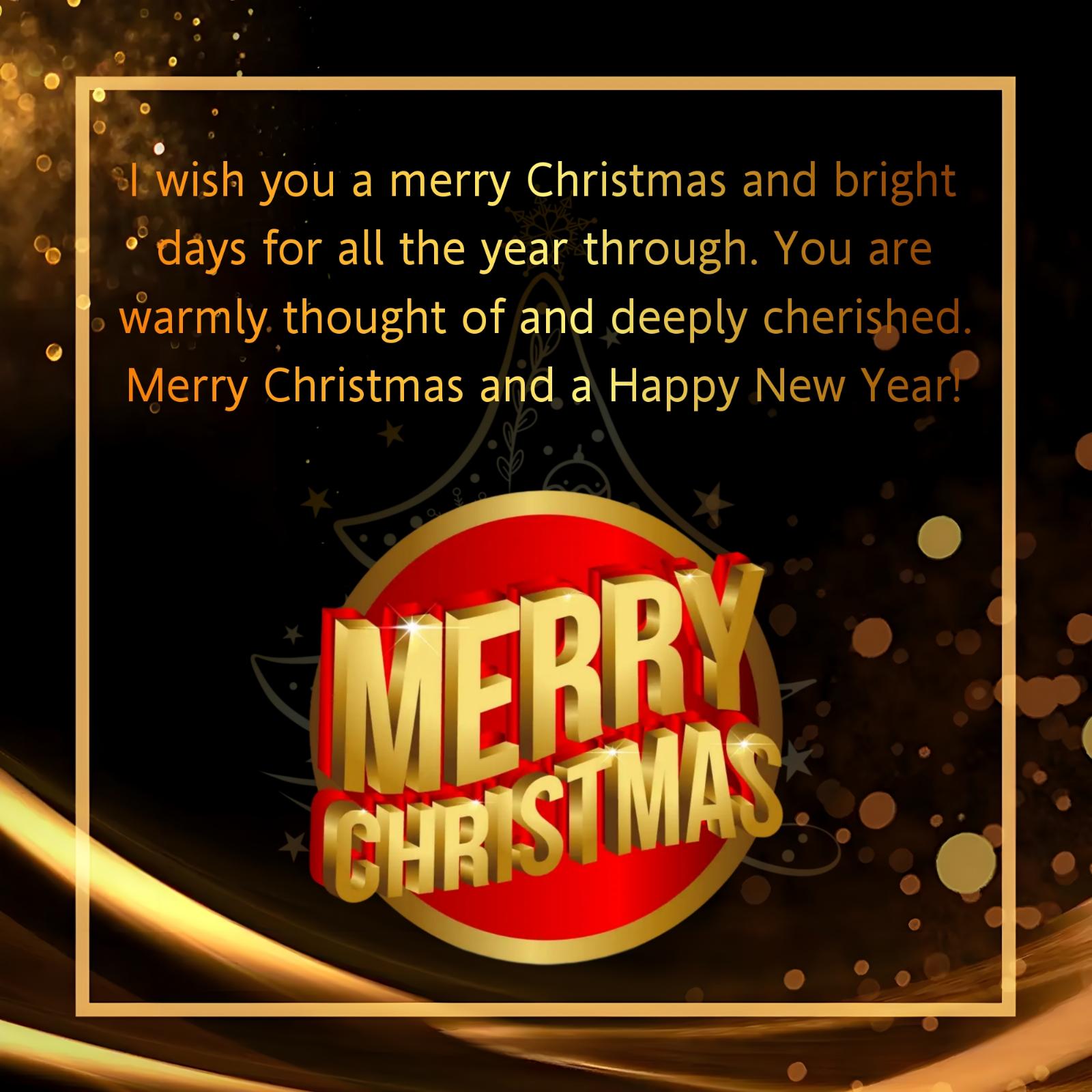I wish you a merry Christmas and bright days for all the year through