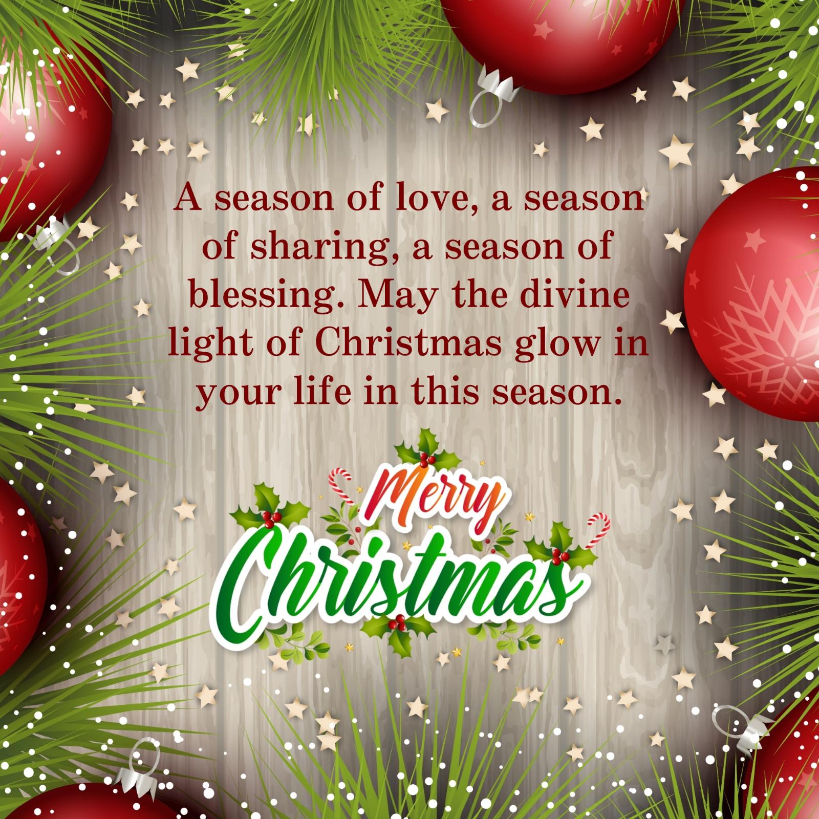 A season of love a season of sharing a season of blessing