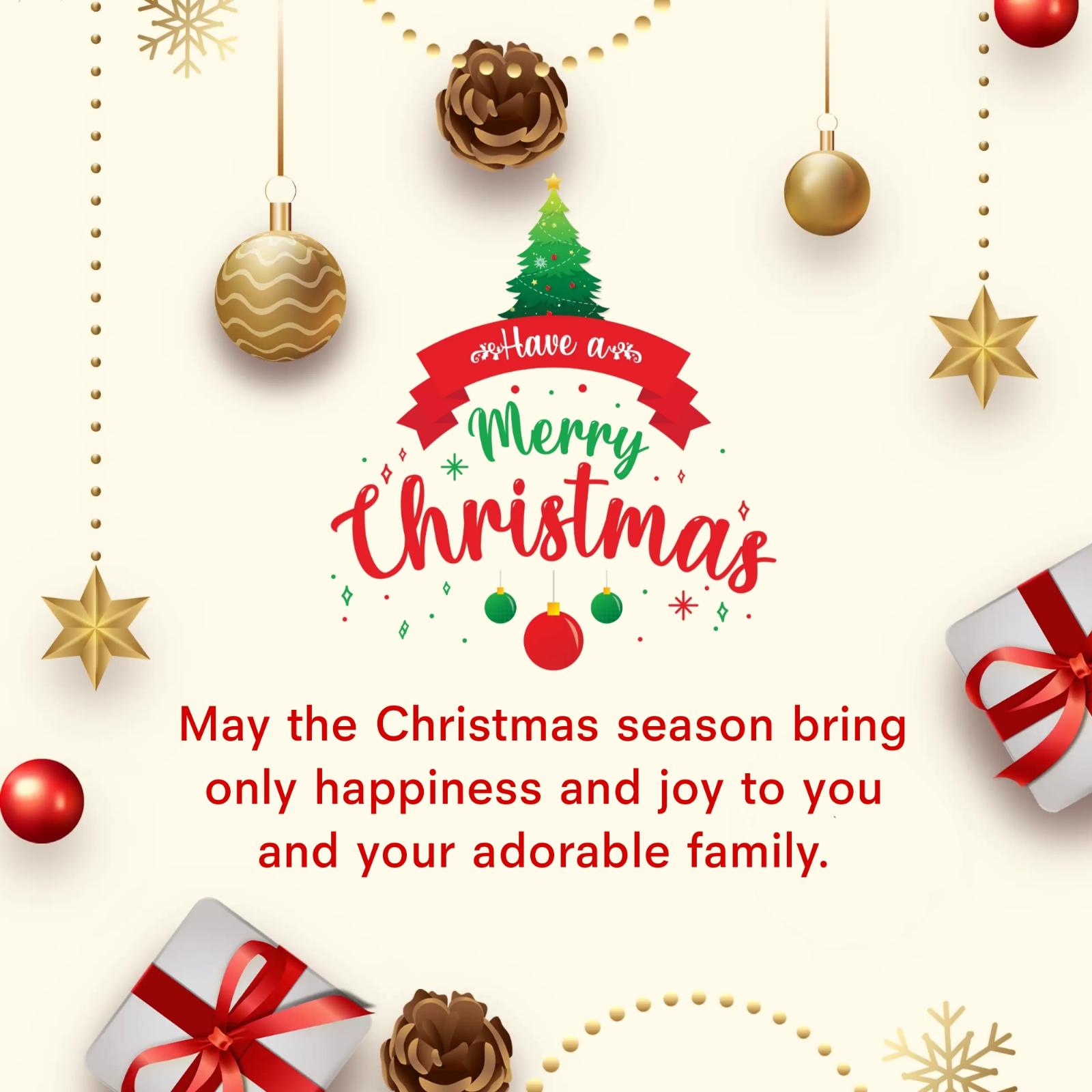 May the Christmas season bring only happiness and joy