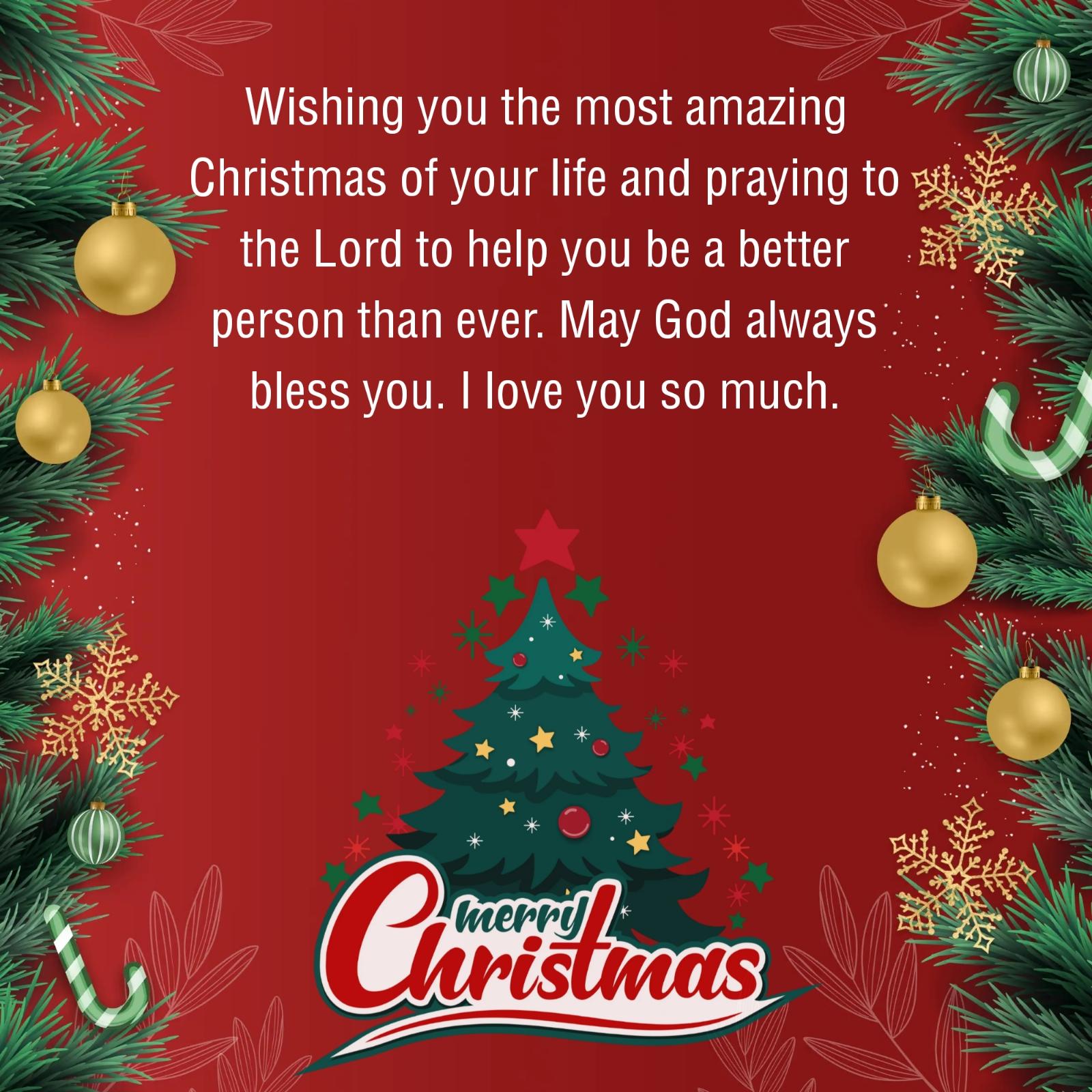 Wishing you the most amazing Christmas of your life