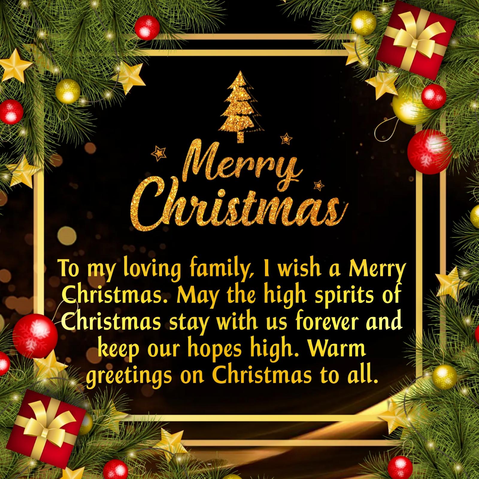 To my loving family I wish a Merry Christmas