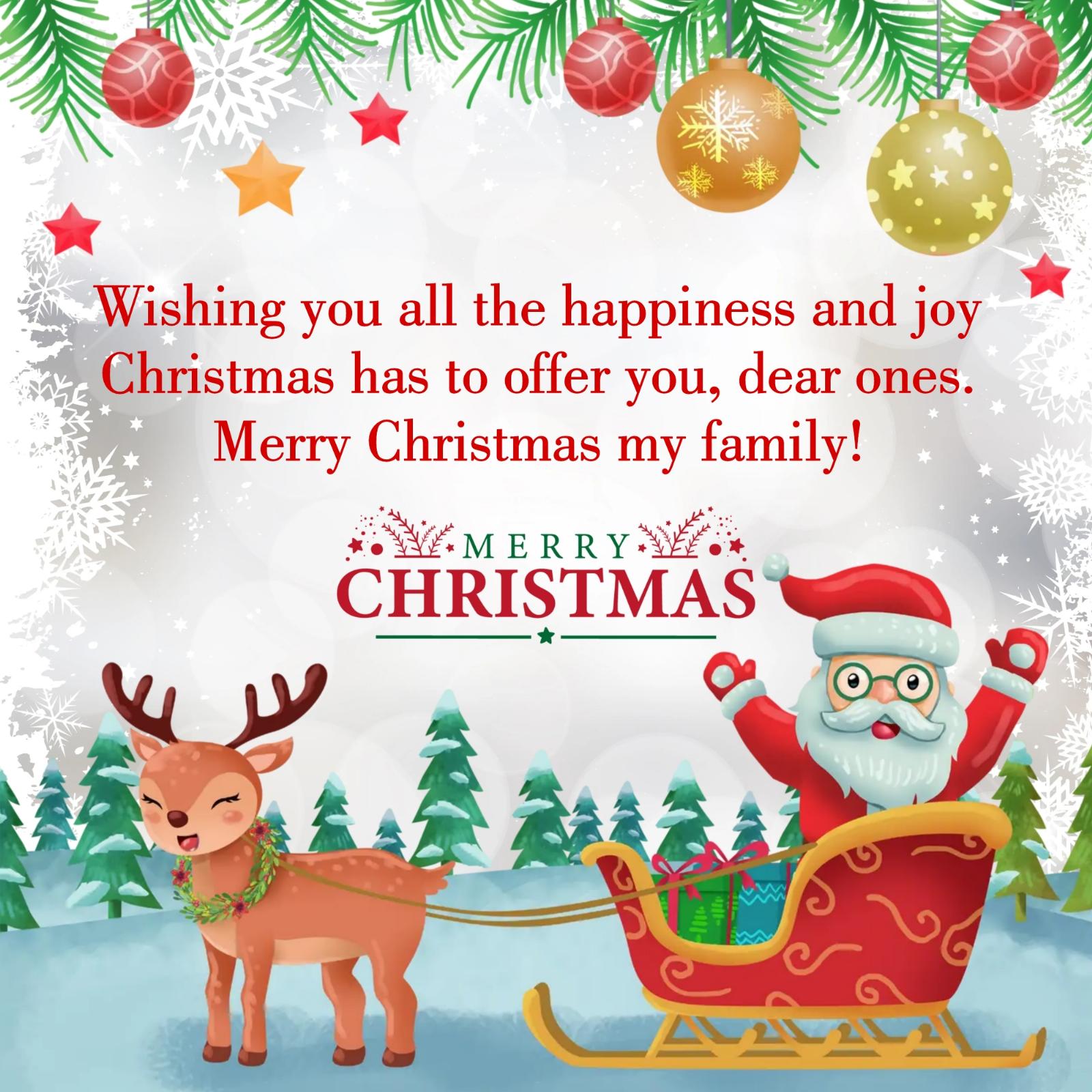 Wishing you all the happiness and joy Christmas has to offer