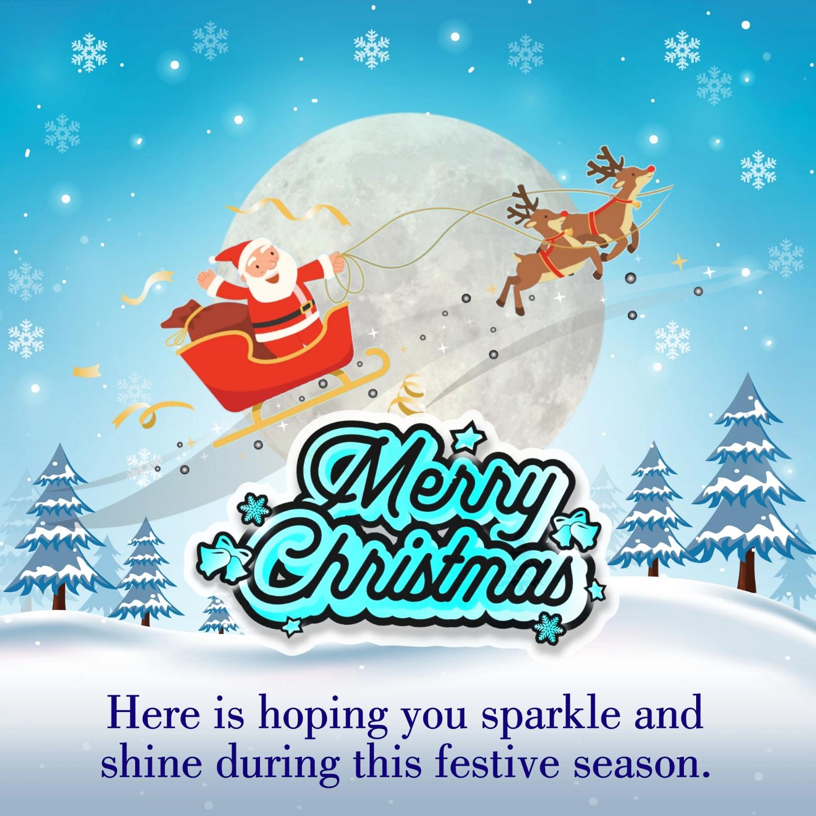 Here is hoping you sparkle and shine during this festive season