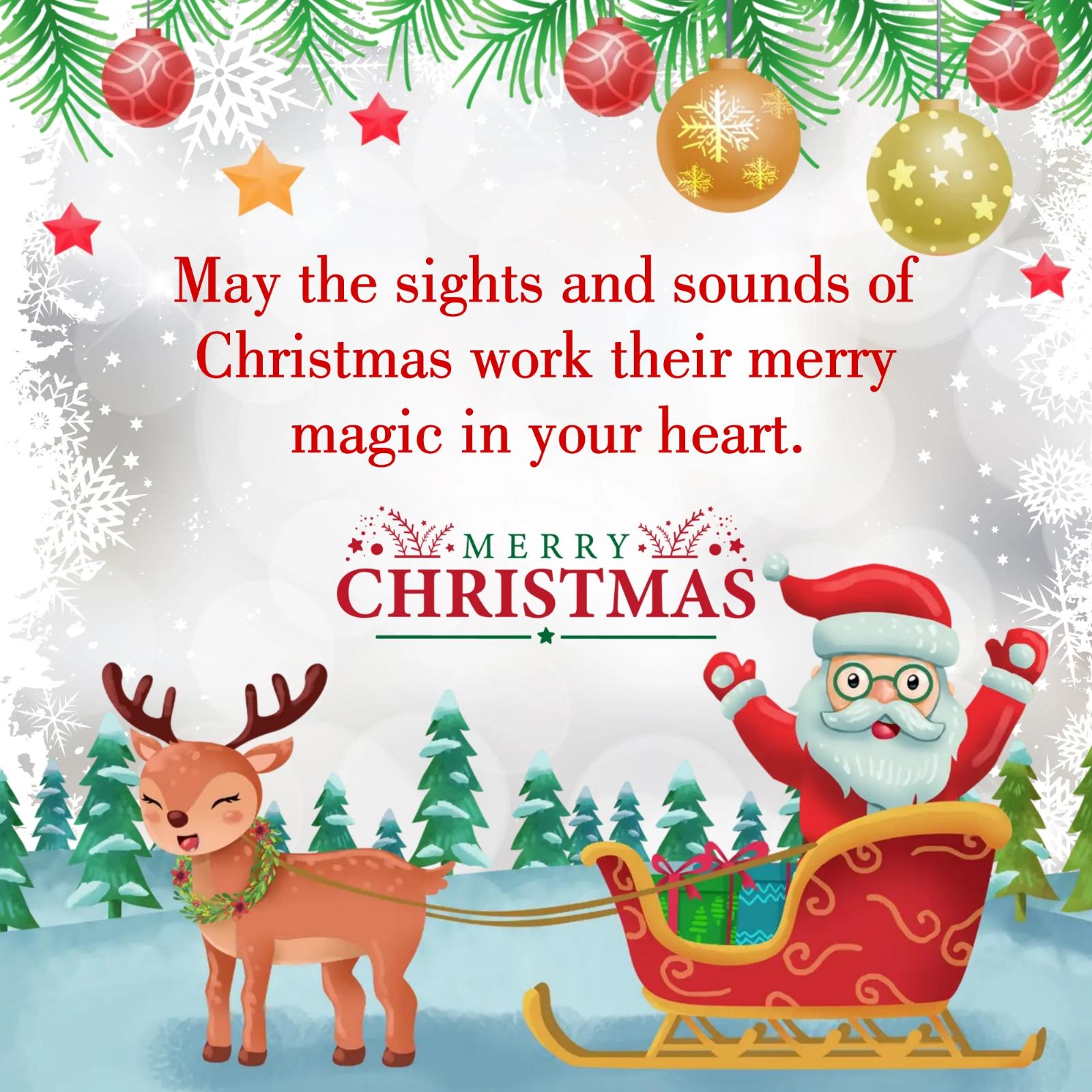 May the sights and sounds of Christmas work their merry magic