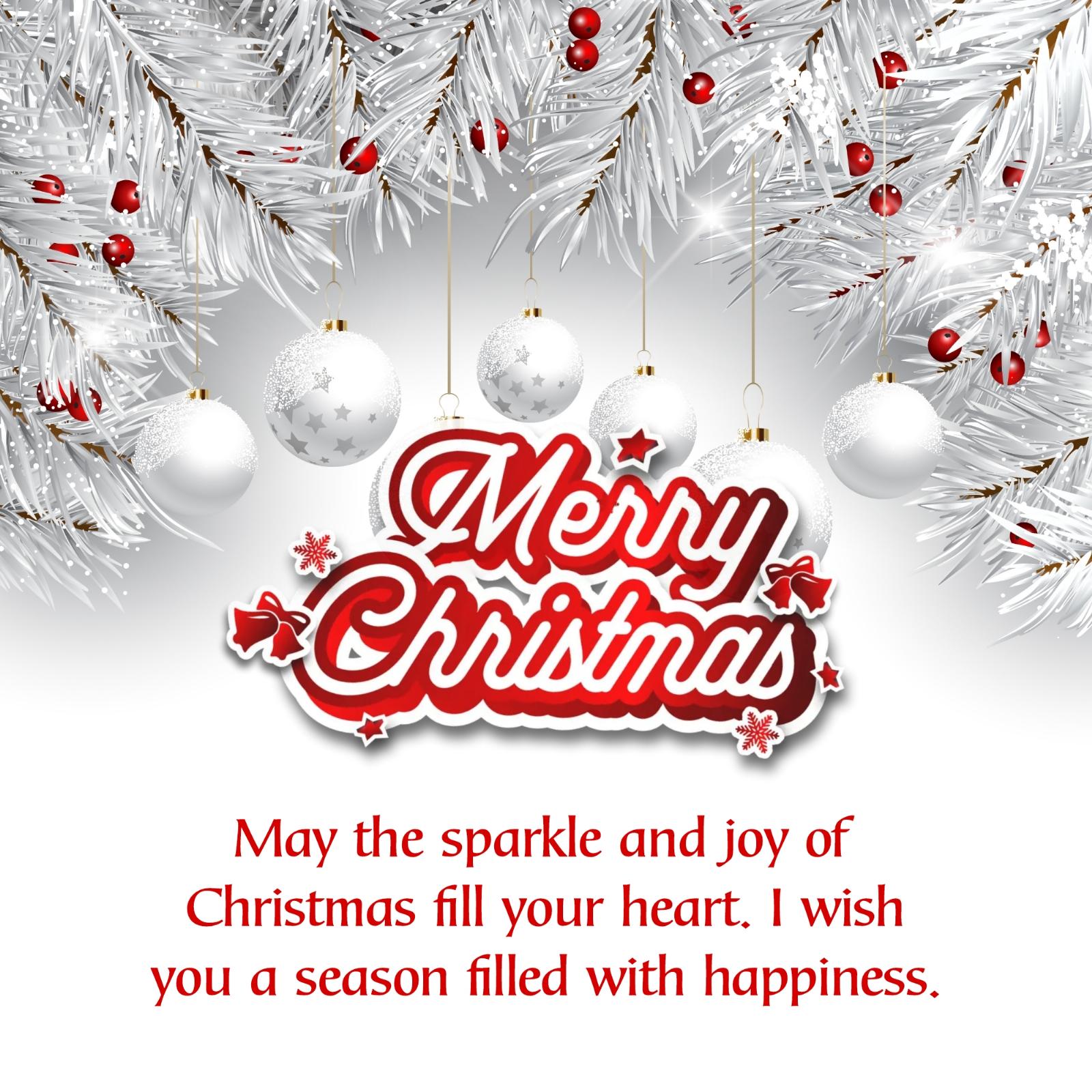May the sparkle and joy of Christmas fill your heart