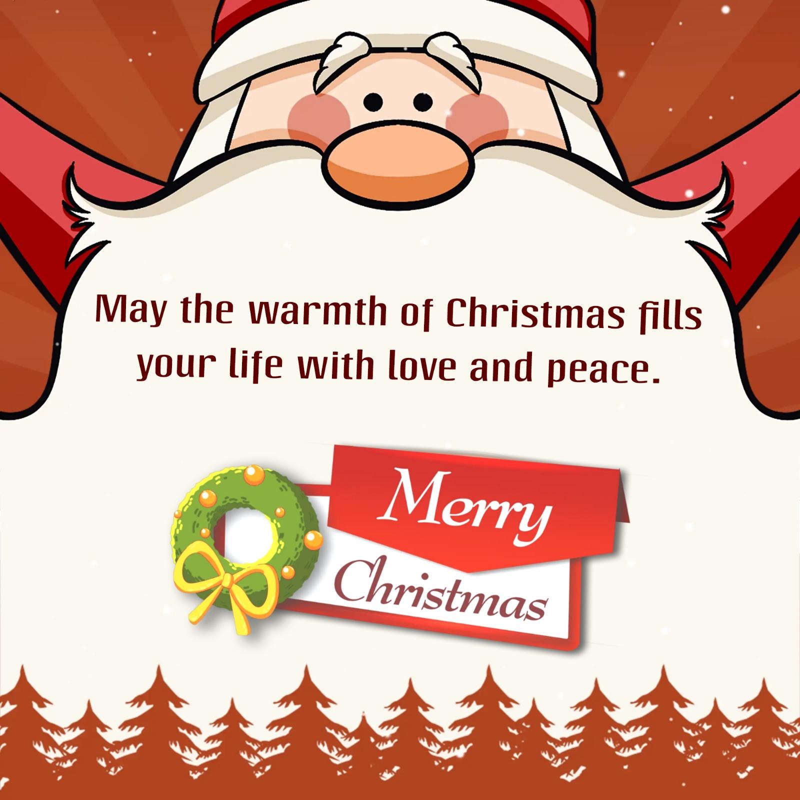 May the warmth of Christmas fills your life with love and peace