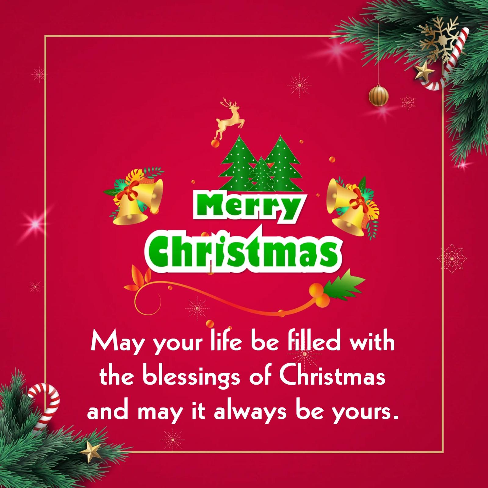 May your life be filled with the blessings of Christmas