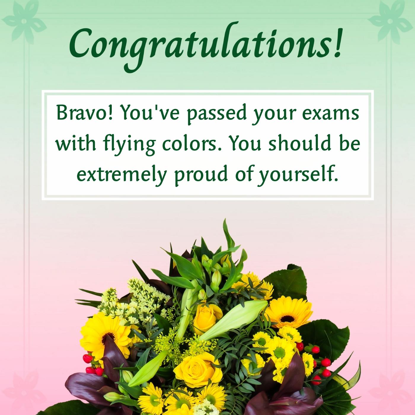 Bravo You've passed your exams with flying colors