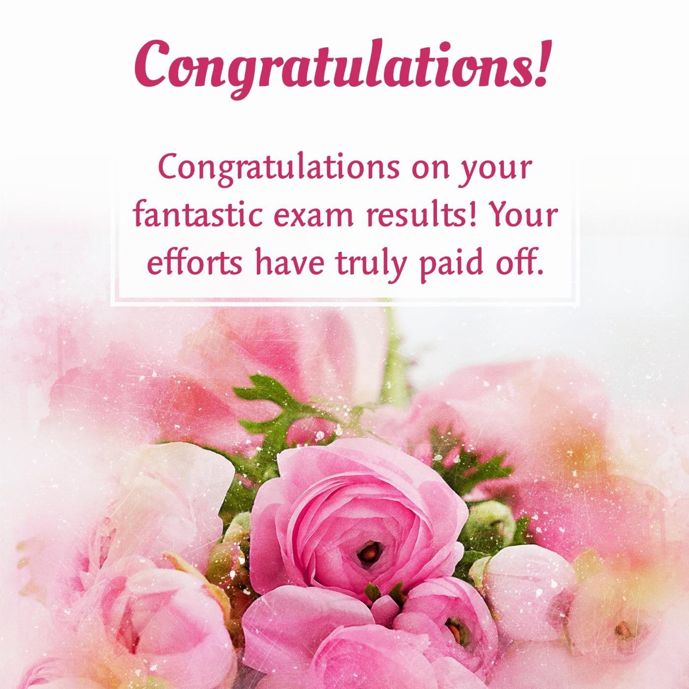 Congratulations on your fantastic exam results!