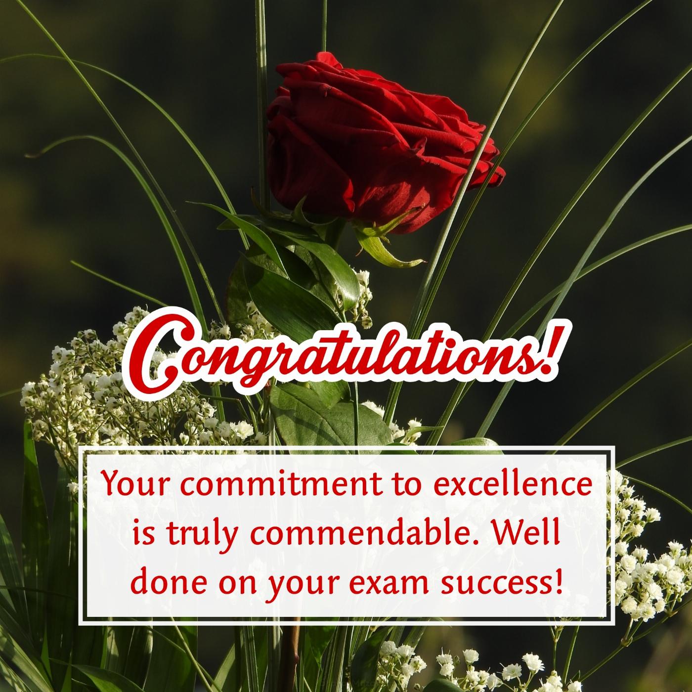 Your commitment to excellence is truly commendable