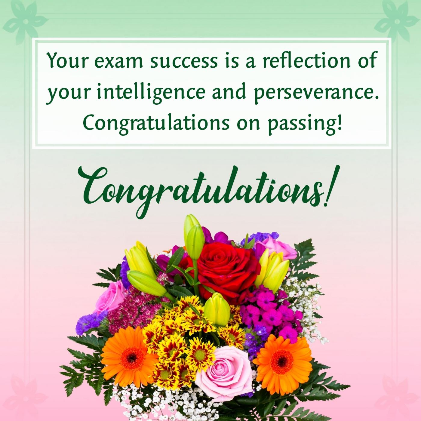 Your exam success is a reflection of your intelligence and perseverance