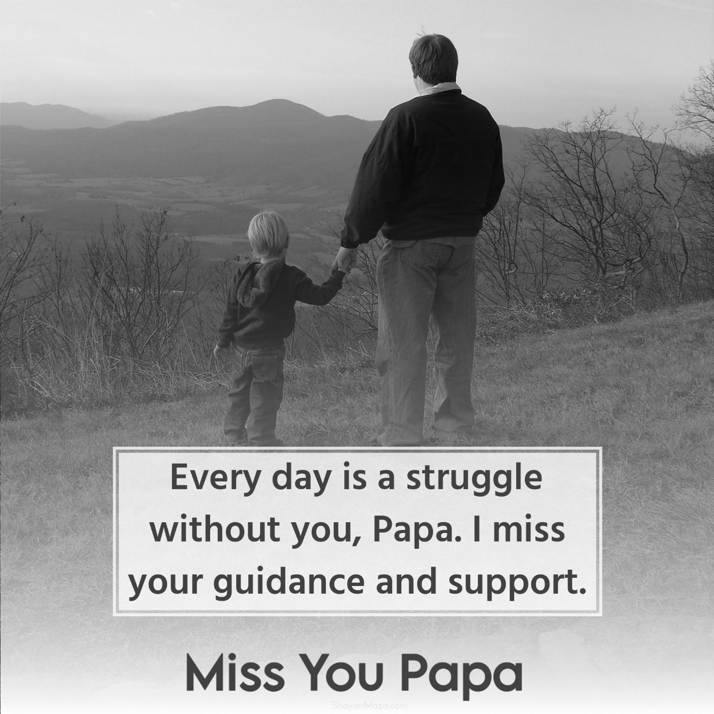 Every day is a struggle without you Papa I miss your guidance