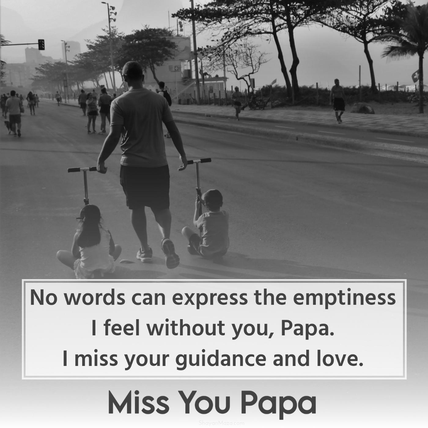 No words can express the emptiness I feel without you Papa