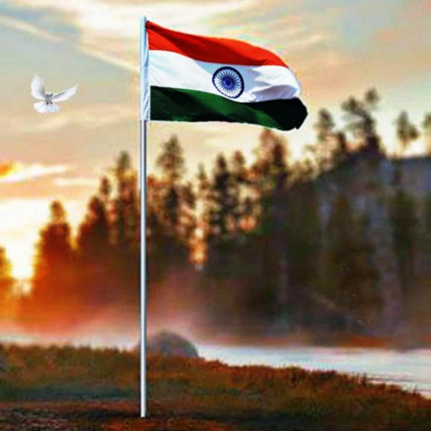 Prince Pal Singh on Twitter Happy Independence Day Jai Hind Tiranga  wallpaper Download  httpstcoowmB3S7J9l India IndependenceDayIndia  IndependenceDay2018 Tricolour Wallpapers PMModi BJP bjp4india  TirangaYatra TOI Bollywood 