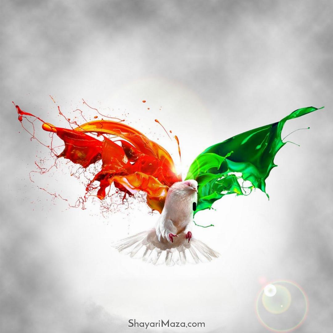 Tiranga Bird DP