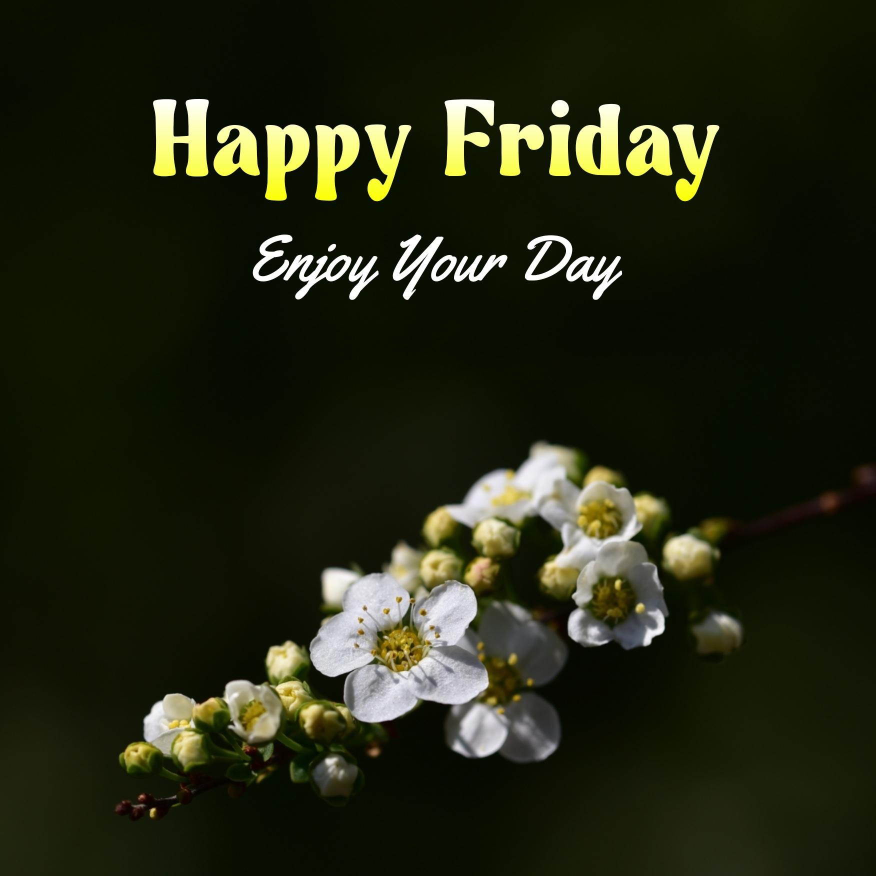 Happy Friday Enjoy Your Day Images