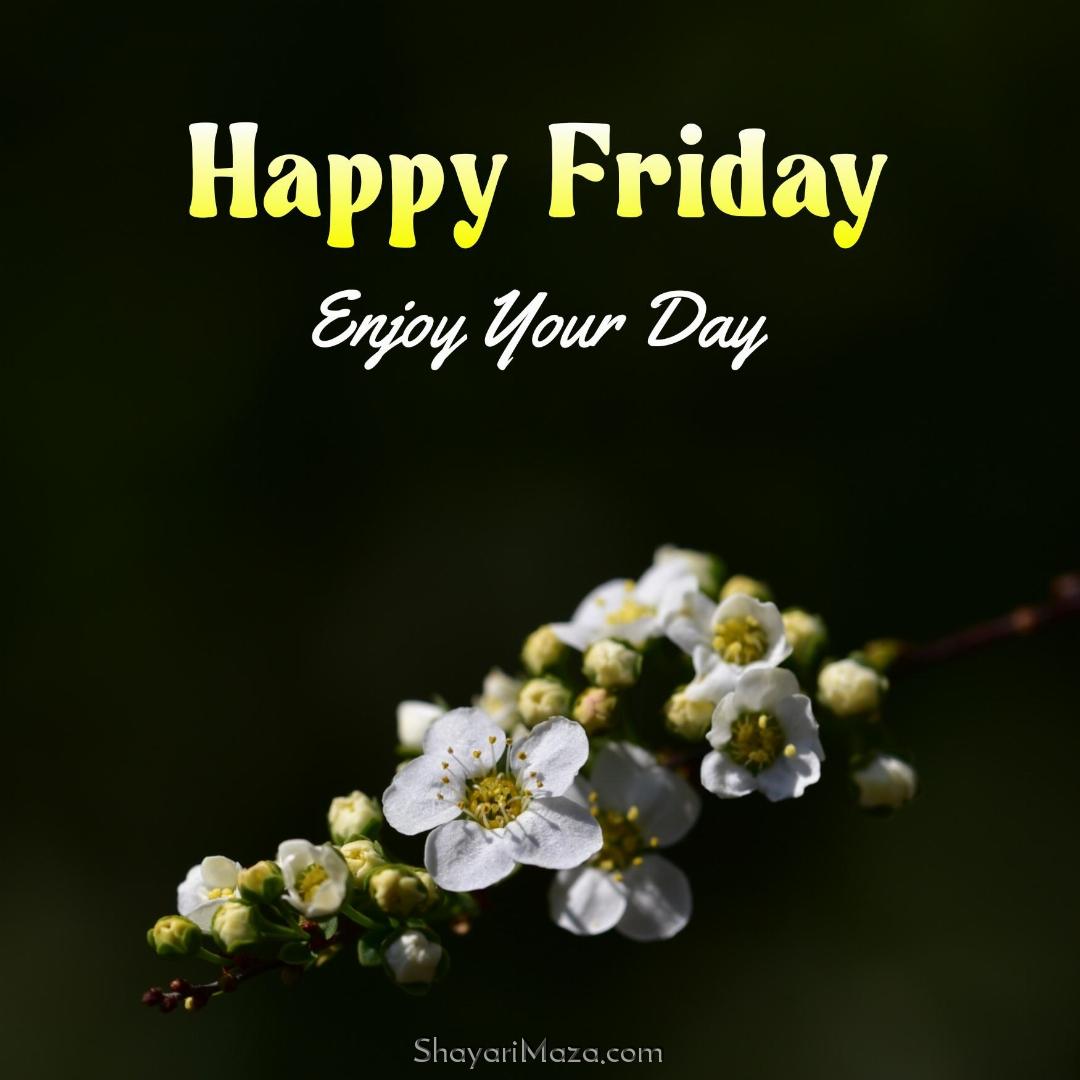 Happy Friday Enjoy Your Day Images