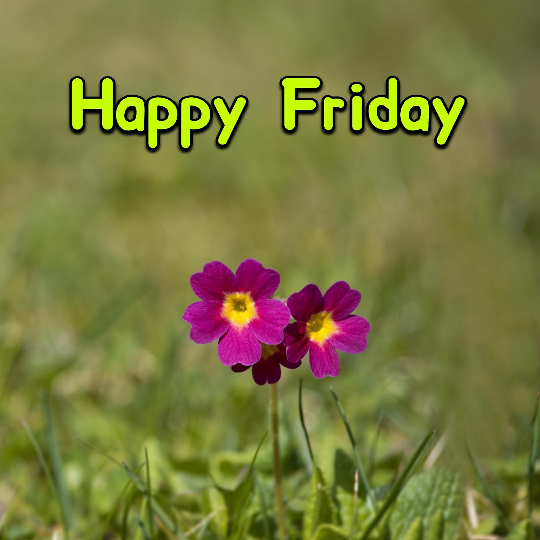 Happy Friday Flowers Images