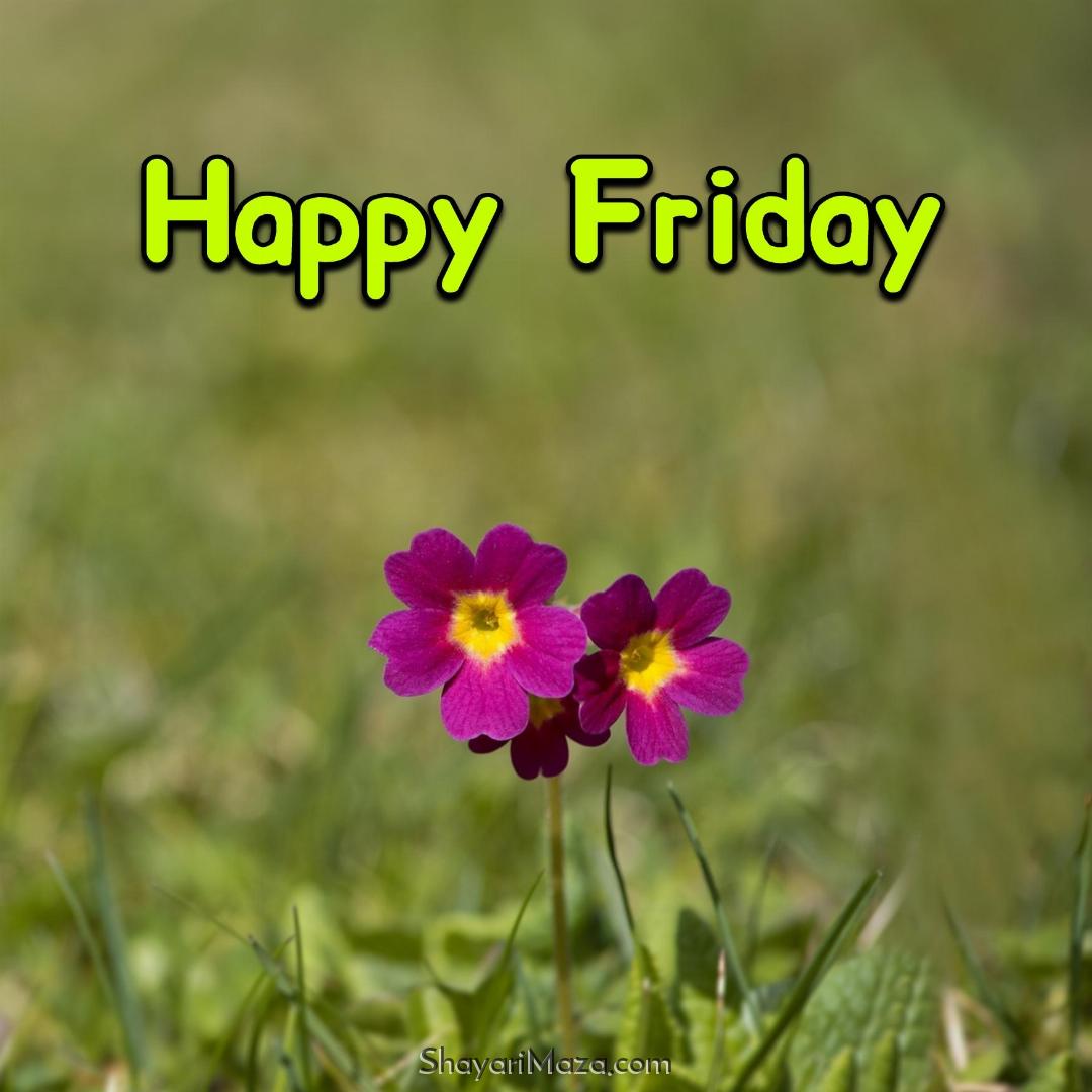 Happy Friday Flowers Images