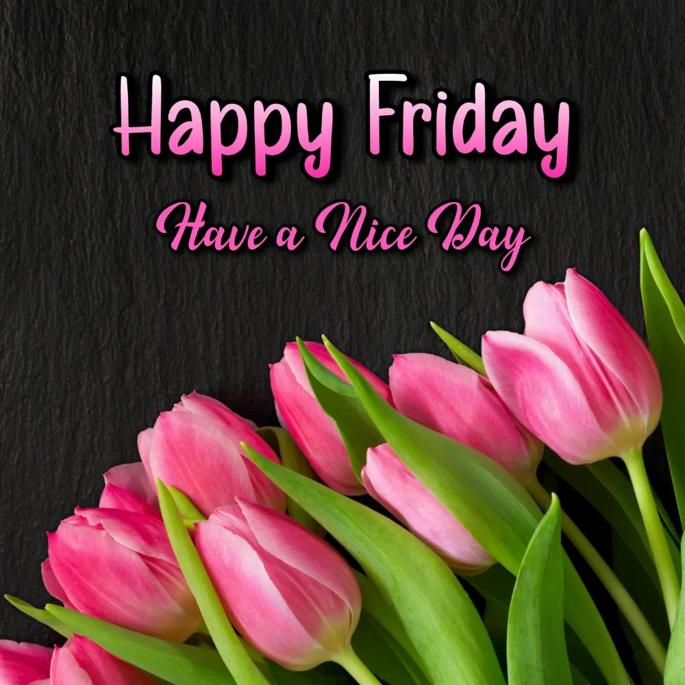 Happy Friday Have a Nice Day Images