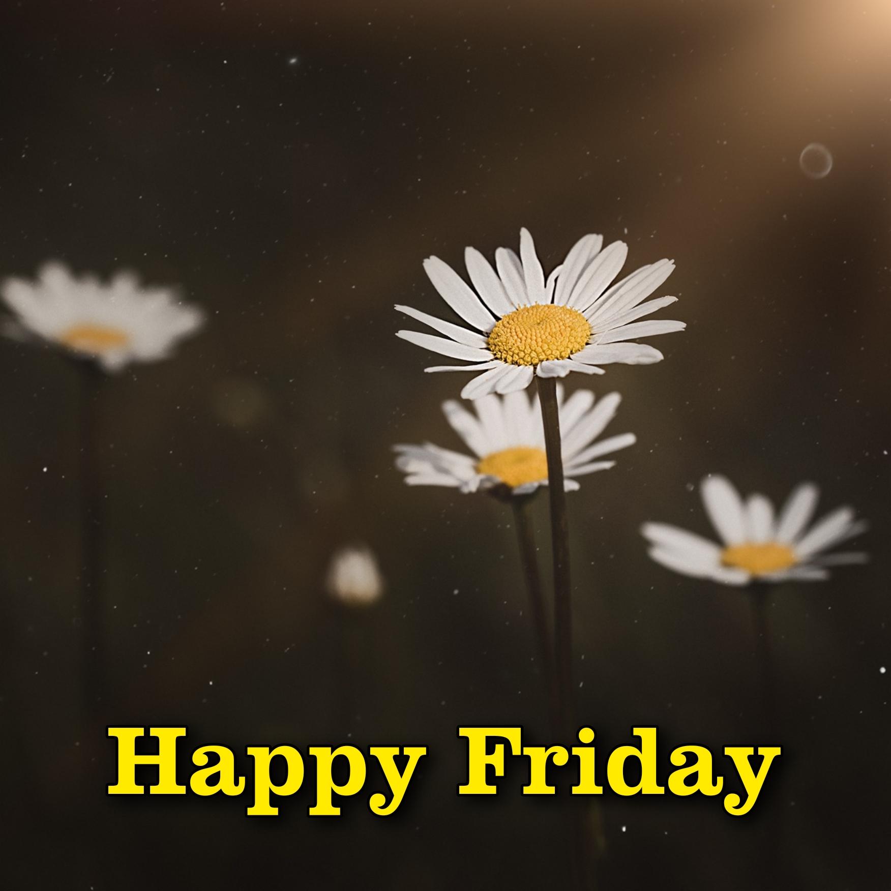 Happy Friday Images for Whatsapp