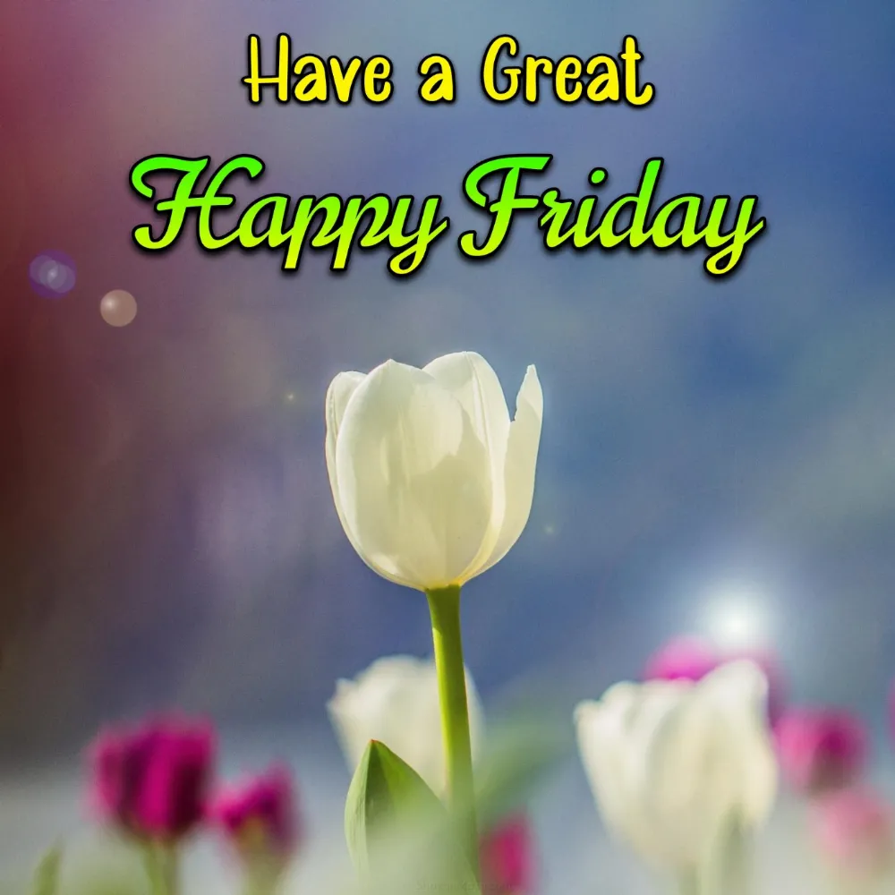 Have a Great Happy Friday Images