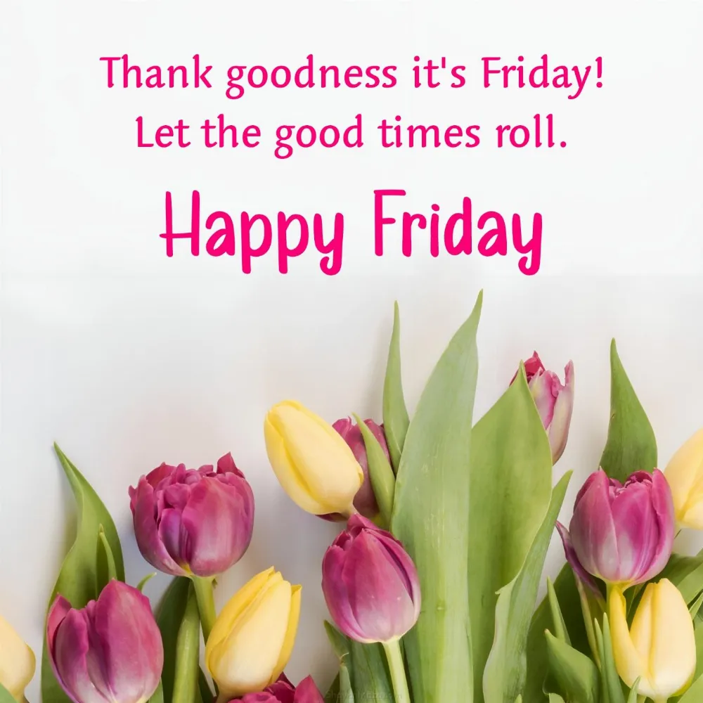 Thank goodness it's Friday! Let the good times roll