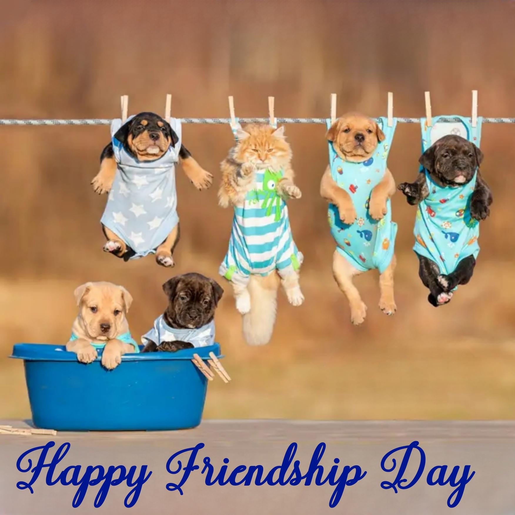 Happy Friendship Day Funny Images - ShayariMaza