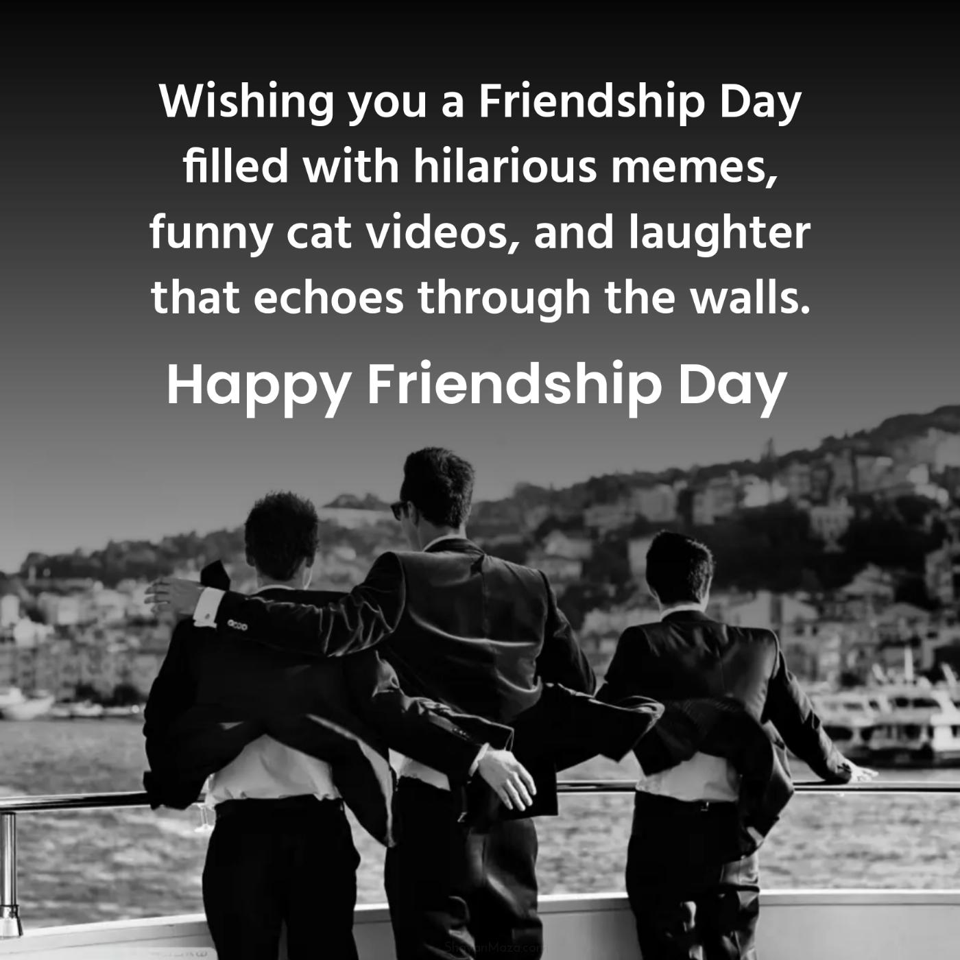 Wishing you a Friendship Day filled with hilarious memes funny cat videos