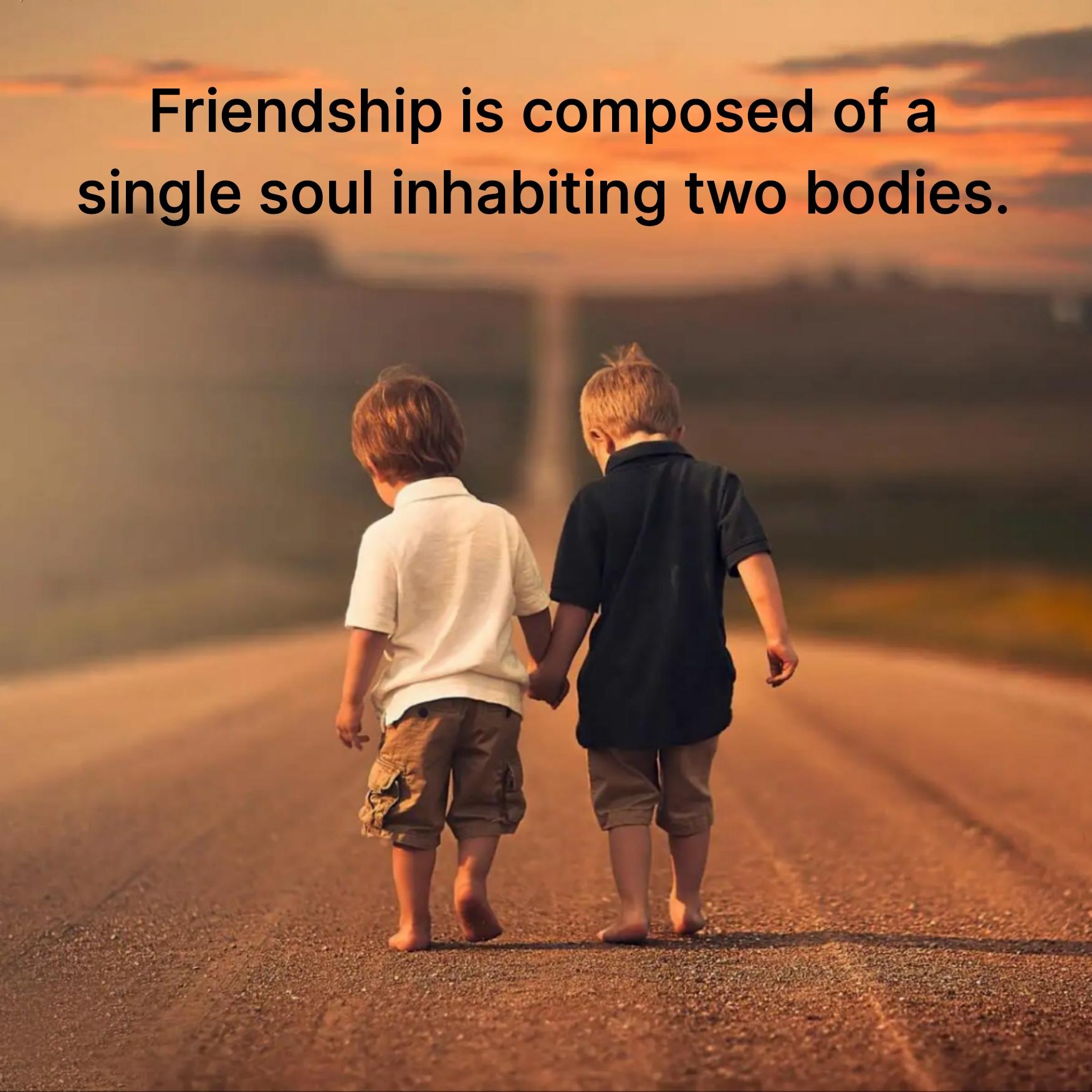Friendship is composed of a single soul inhabiting two bodies