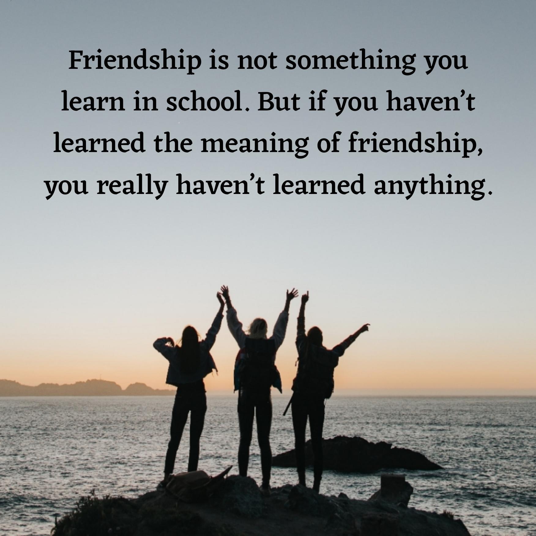 Friendship is not something you learn in school