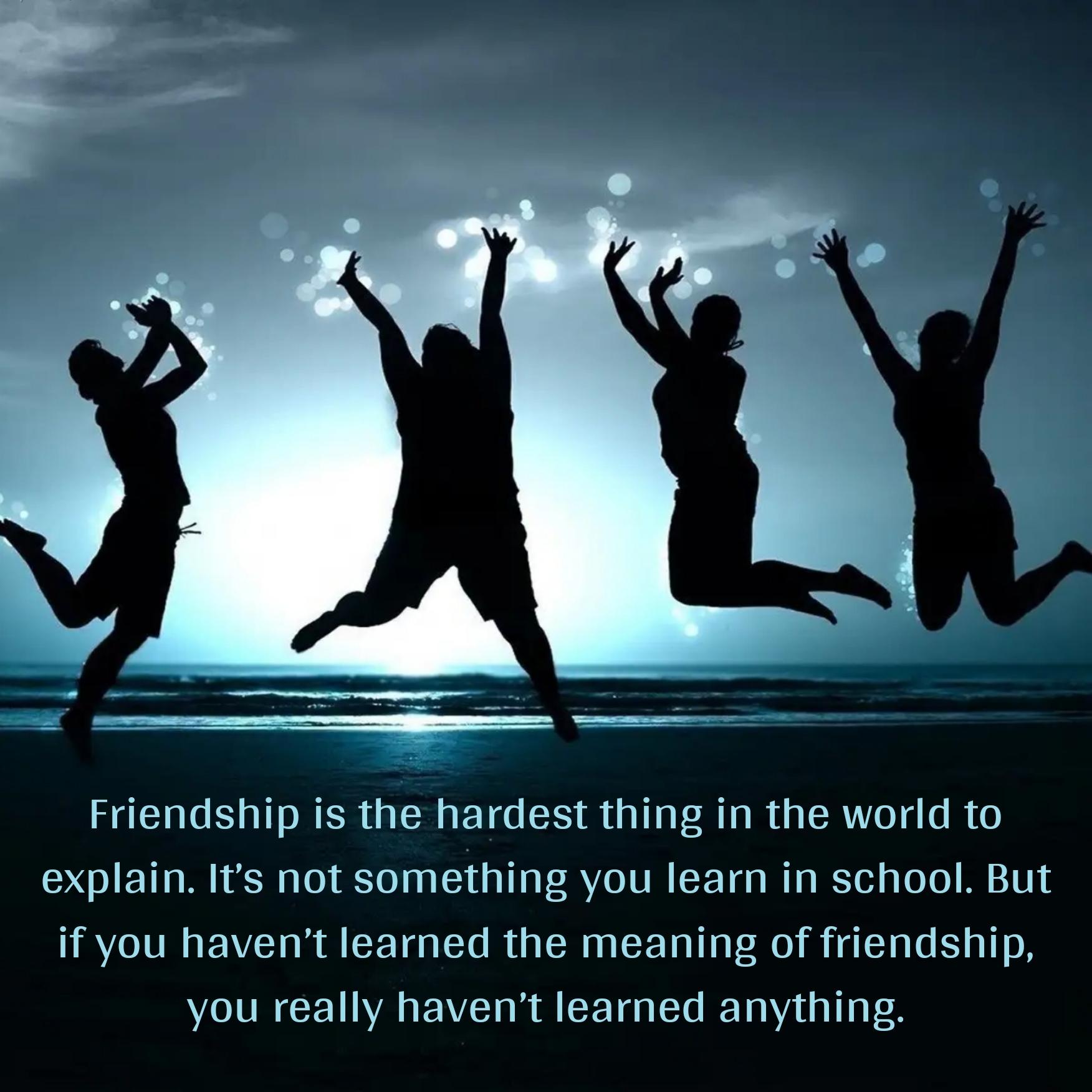 Friendship is the hardest thing in the world to explain