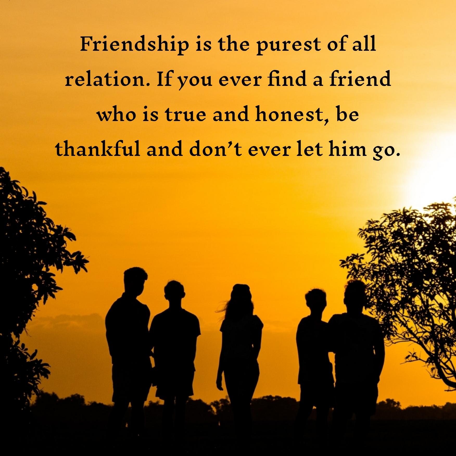 Friendship is the purest of all relation