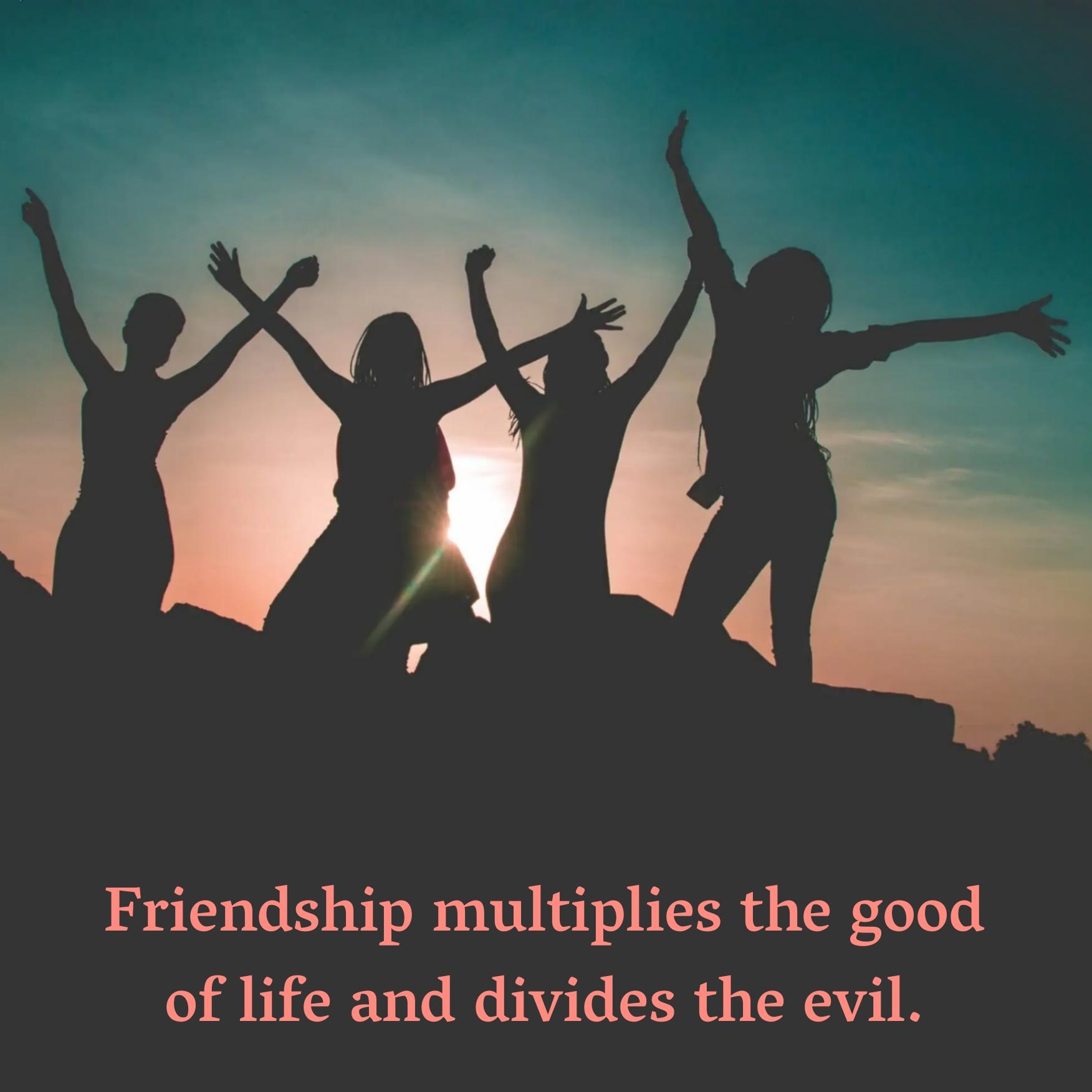 Friendship multiplies the good of life and divides the evil